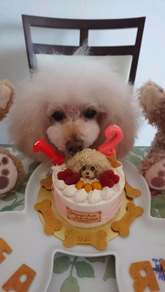 ���Ă邩�ȁc�H