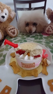 �������󂷂Ɓc