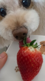 ����́c
