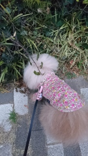 ���[����