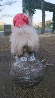 �ї������