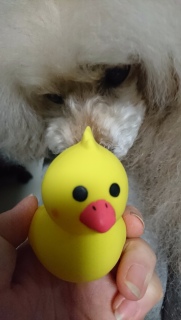 �A�q����