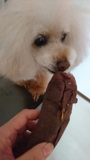 �����Ɓc