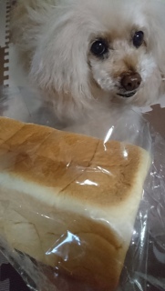 �_���Ă���́c