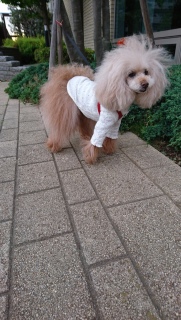 �ї������