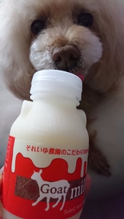 �����Ō�