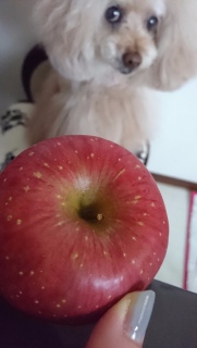 �ߘa�ɂȂ���