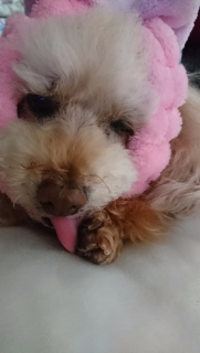 �y���y��
