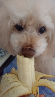 �������o�i�i