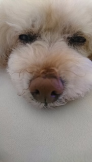 �����Q�^�C��