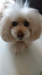 ���낻��
