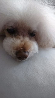 ������J