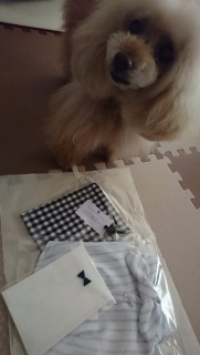�ї�������