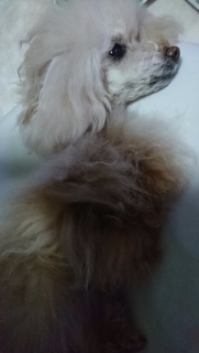 ���݂����̎���