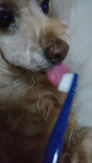 ���u���V