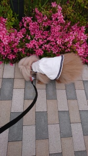 ���Ɓc