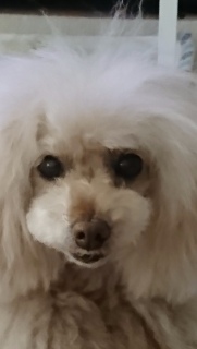 �����c