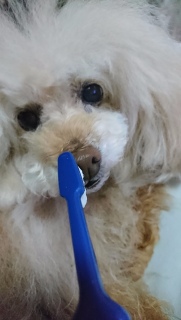 �ŋ߁c