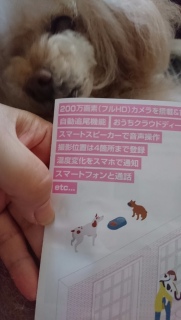 ���掿�c