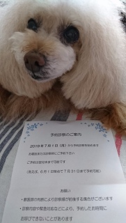 ��������c