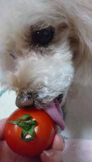 �y���y��