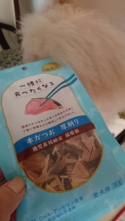 ����̎���