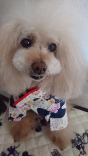 �����́c