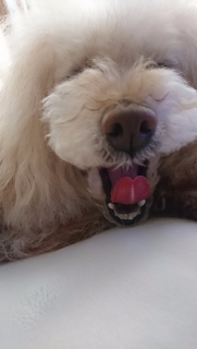 ������