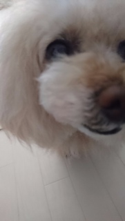 ���U���ցc