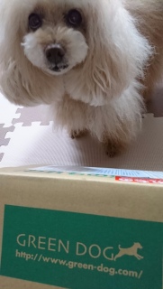 ��}��