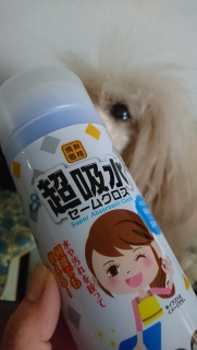 �ї������p�c
