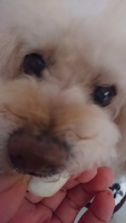 �����