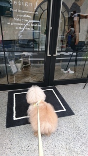 �J���Ă������[��
