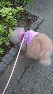 ���U��