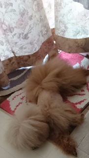 �ړ�����