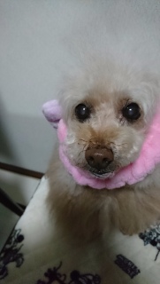 ���́c