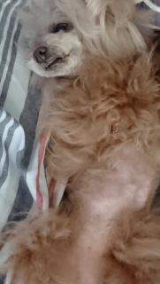 �x�����_����