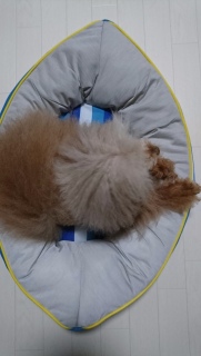 ��`��������c