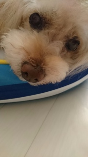 ���M�~���N