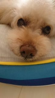 �����̂����