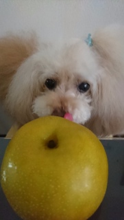 ����