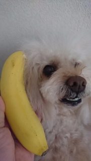 ���������c