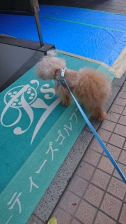 �S���t