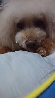 �y���y��