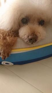 �ŋ�
