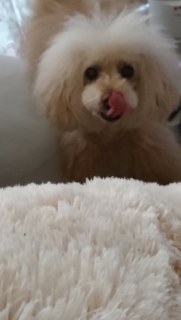 ���肢�c����