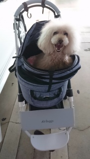 �a�@�̒��ԏ�