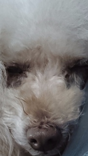�ї������
