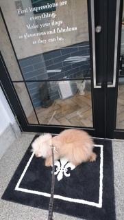 �T��������