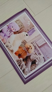 �X���́c
